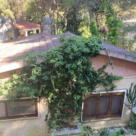 Raffaela Lido Silvana Marina Di Fatamorgana * Пульсано